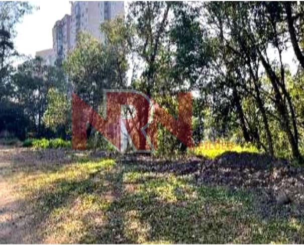 Foto de TERRENO | VILA ANDRADE - SÃO PAULO/SP