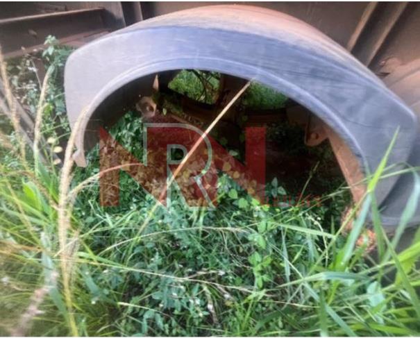 Foto de SEMI REBOQUE BASCULANTE 02 EIXOS SRBA 02E – 2021/2022 – JUATUBA/MG
