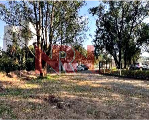 Foto de TERRENO | VILA ANDRADE - SÃO PAULO/SP