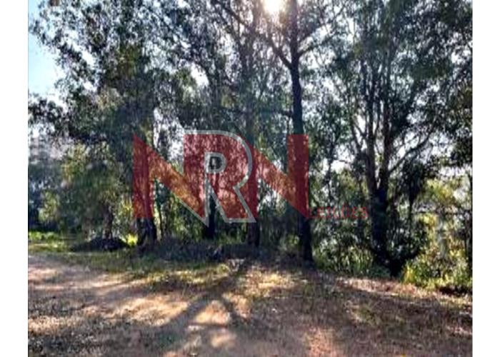 Imagem do imóvel TERRENO | VILA ANDRADE - SÃO PAULO/SP TERRENO | VILA ANDRADE - SP