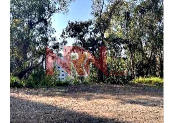 Imagem do imóvel TERRENO | VILA ANDRADE - SÃO PAULO/SP TERRENO | VILA ANDRADE - SP