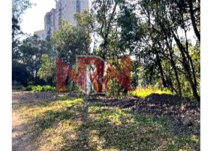 Imagem do imóvel TERRENO | VILA ANDRADE - SÃO PAULO/SP TERRENO | VILA ANDRADE - SP